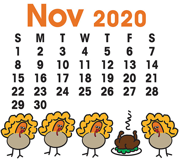 Nov 2020 detail of turkeys